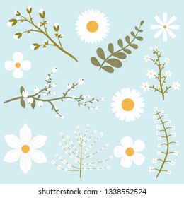 Beautiful flowers pack vector design illustration isolated on white background