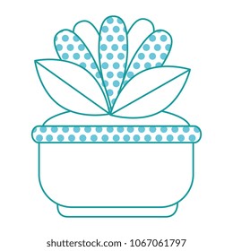 beautiful flowers in pot decorative