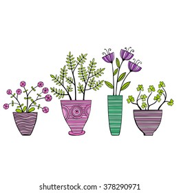 Beautiful Flowers In Pots. Vector Illustration.