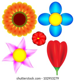 Beautiful flowers set
