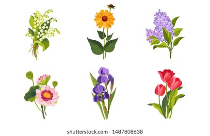 Beautiful Flowers Set, Lily of the Valley, Lilac, Iris, Tulip Vector Illustration