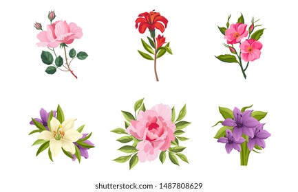 Beautiful Flowers Set, Rose, Lily, Rosehip, Peony Vector Illustration