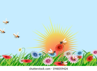 Beautiful flowers at sunrise in the summer. Hardworking bees flying around them. Vector illustration.