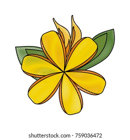Beautiful flowers symbol