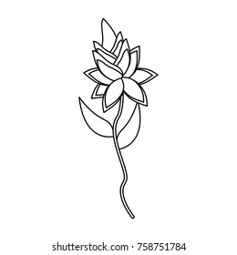 Beautiful flowers symbol icon vector illustration graphic design