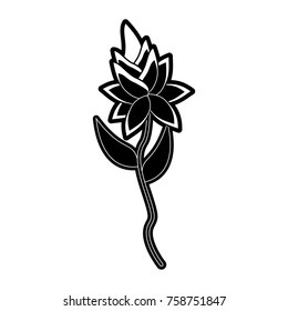Beautiful flowers symbol icon vector illustration graphic design