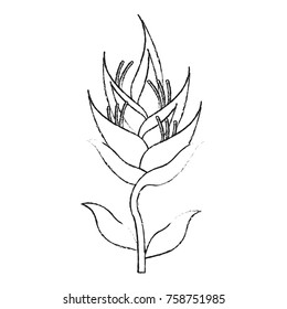 Beautiful flowers symbol icon vector illustration graphic design