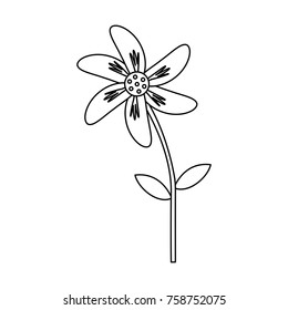 Beautiful flowers symbol icon vector illustration graphic design