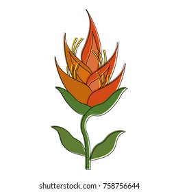 Beautiful flowers symbol icon vector illustration graphic design