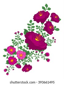 Beautiful flowers. Vector illustration. Decorative floral element for design of invitations, covers, and other items. Editable.