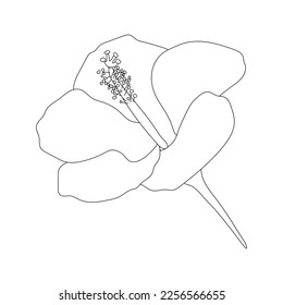 Beautiful Flowers Vector in Line, Black and White color. Simple Design for logo, Icon, Symbols, Avatar, Elements.