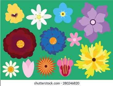 Beautiful Flowers Vector Package