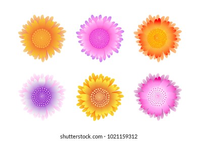 beautiful flowers, vector set isolated on white
