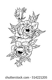Beautiful flowers. White background. Vector illustration.