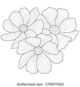 Beautiful flowers.Coloring book antistress for children and adults. Zen-tangle style.Black and white drawing