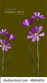 beautiful flowerses of the spring
