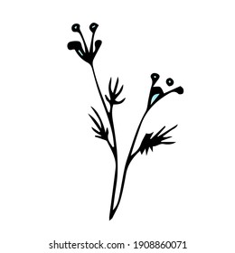 Beautiful flower,Spring twig with leaves, floral vector object in doodle style, flowers hand draw, isolate on a white background.