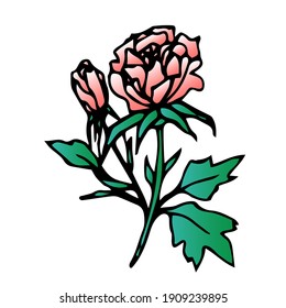 Beautiful flower,Spring twig with leaves, floral vector object in doodle style, flowers hand draw, isolate on a white background.