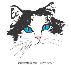 Beautiful fluffy cat with blue eyes.Template for t-shirt design. Printing of posters, clothes, mugs, bags, cards, banners, advertisements.