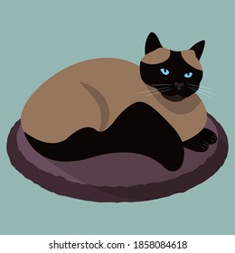 Gato grueso siamés en una camada. Ilustración plana con animales.