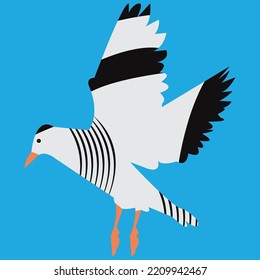 Beautiful Flying Bird Vector Illustration. 