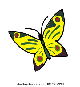 beautiful flying butterfly sticker vector illustration