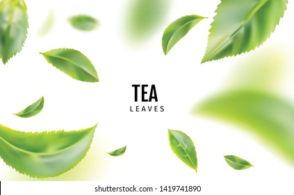 Beautiful Flying Green Tea Leaf Realistic 3d Vector Background. Tea Leaves Vortex Or Tea Leaves Pattern With Place For Text