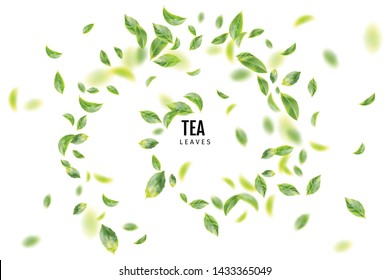 Hermosa hoja de té verde volador fondo de vectores 3d realistas. El té deja el vórtice o el té deja el patrón con lugar para el texto