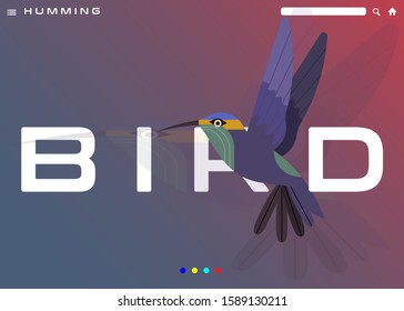 Beautiful flying humming bird vector