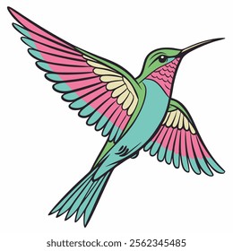 Beautiful flying hummingbird colorful vector on white background.