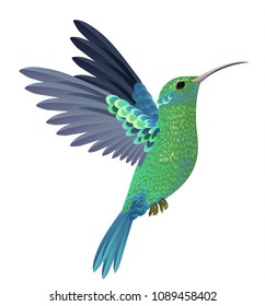 Beautiful flying hummingbird. Design element. For banners, posters, leaflets and brochures.