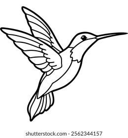 beautiful flying hummingbird line art vector on white background