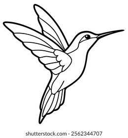 Beautiful flying hummingbird line art vector on white background