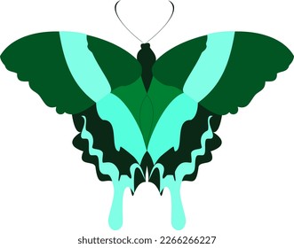 The beautiful flying light green butterfly with nice soft shadow on white background