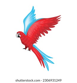 Beautiful flying macaw on white background