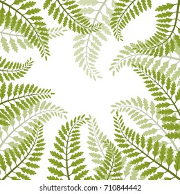 Beautiful foliage - fern leaves VECTOR frame 