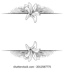 Beautiful Foliage Floral Frame Text Divider with elegant floral Can be used for your wedding, birthday invitation