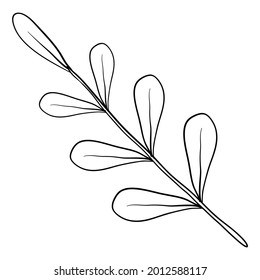 Beautiful Foliage Floral Frame Text Divider with elegant floral Can be used for your wedding, birthday invitation