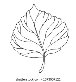 Beautiful foliage sign vector illustration 