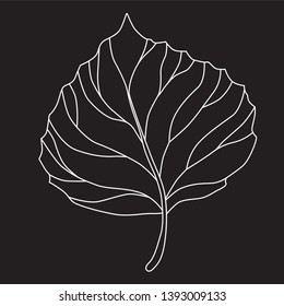 Beautiful foliage sign vector illustration 