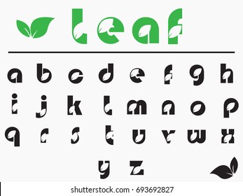 beautiful font nature style with leaf