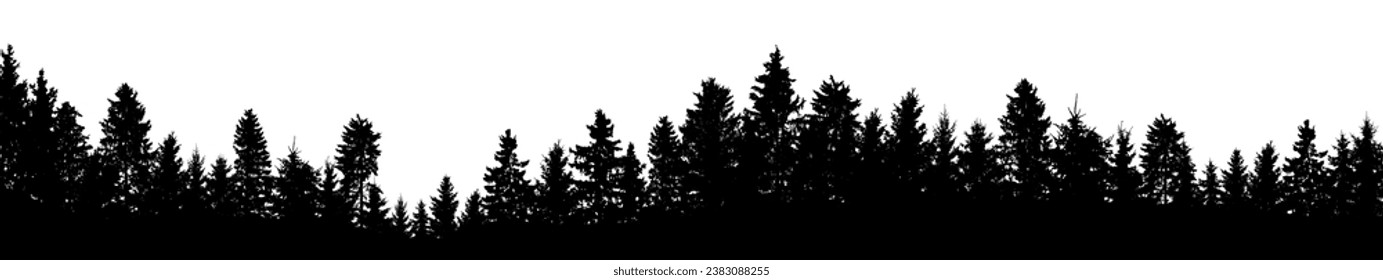 Beautiful forest, black silhouette, coniferous trees. Vector illustration