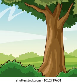 Beautiful forest cartoon