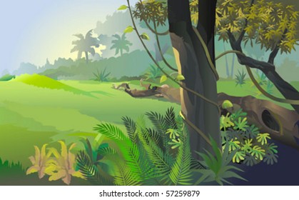 Beautiful forest , flora and fauna