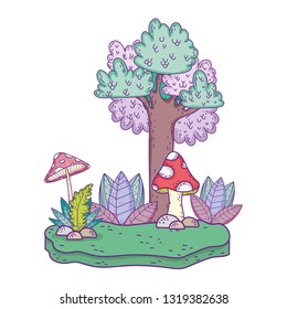 beautiful forest and fungus landscape  scene