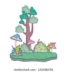 beautiful forest and fungus landscape  scene