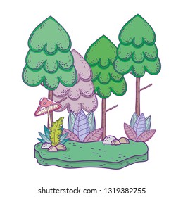 beautiful forest and fungus landscape  scene