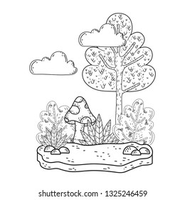 beautiful forest and fungus landscape scene