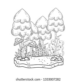 beautiful forest and fungus landscape scene