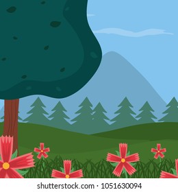Beautiful forest landscape